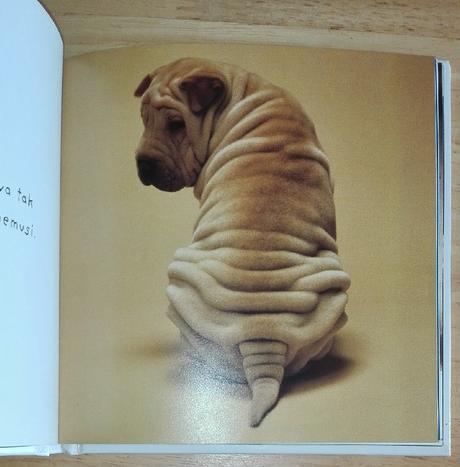 Keby psy rozprávali , joel zadak, 