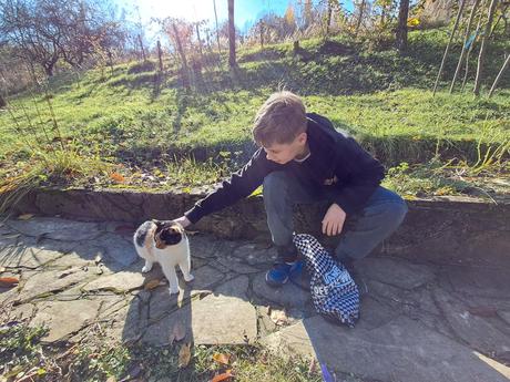 Tepláky zara 11-12r, zara,152