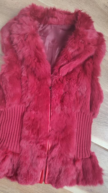 Kožušinova vesta, s