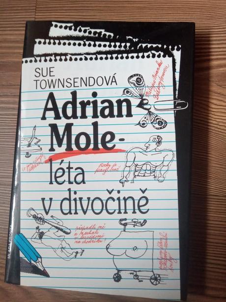 Sue townsendová - adrian mole (léta v divočině), 