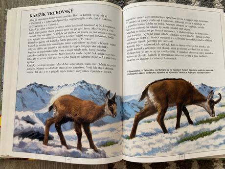 Zvieratá európy-prvé vyd.1997, 