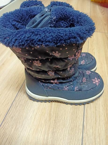 Snehule cortina, veľ. 31, 31