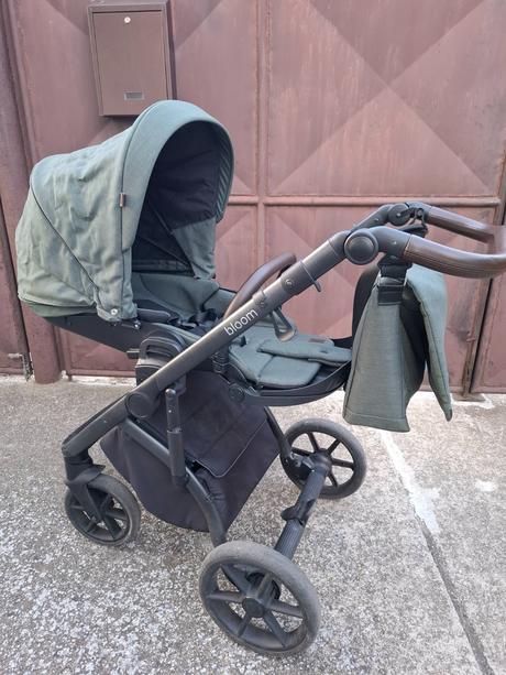 Kočík roan bloom, roan,roan bloom