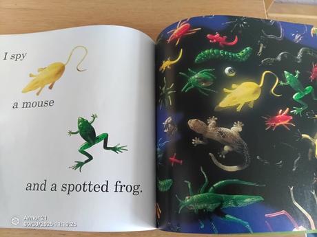 I spy animals paperback  hľadacia knižka, 