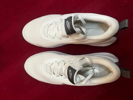 Nike promina, nike,41