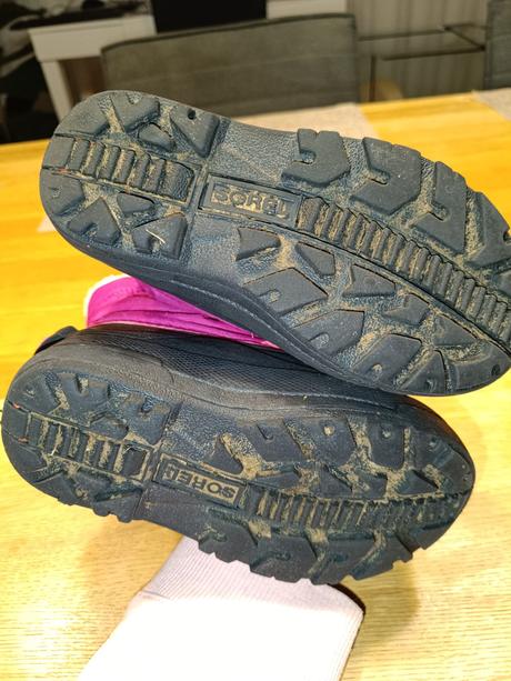 Snehule sorel, sorel,28