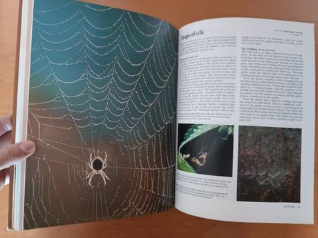 The book of the year, 