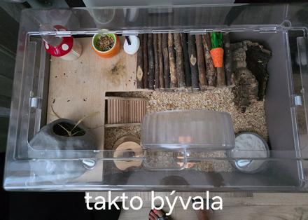 Ubikácia pre škrečka s výbavou,