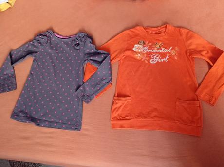 Tričká, palomino,110