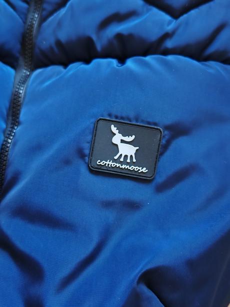 Fusak cottonmoose north yukon, 