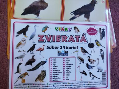 Montessori subor kariet vtaky a hudobne nastroje,