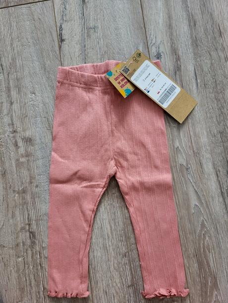 Leginy, coccodrillo,74