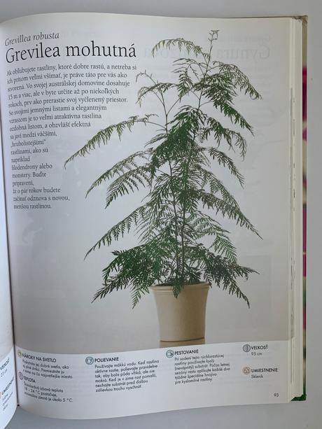 Paul williams - izbové rastliny, 