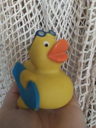 Gumená kačka, 