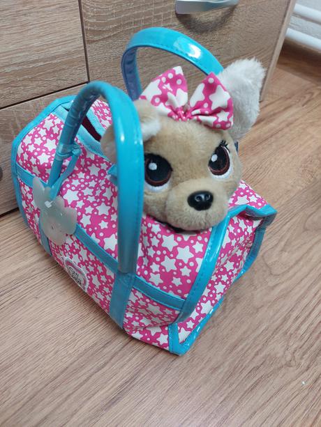 Psík chi chi love + oblečenie, 