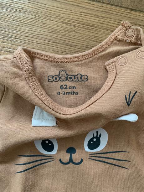 Body s veveričkami, pepco,62