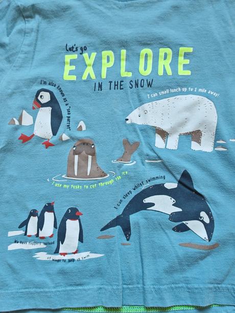 Chlapčenské tričko 98, f&f,98