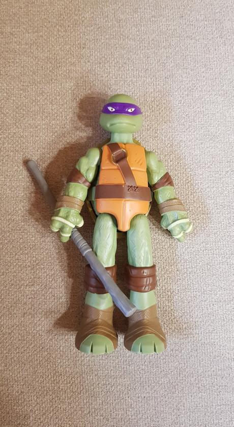 Ninja korytnačka, 