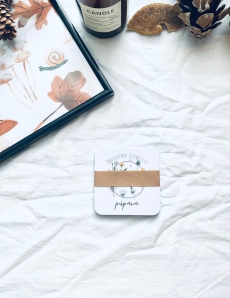 Životný cyklus - slovenské vzdelávacie kartičky,