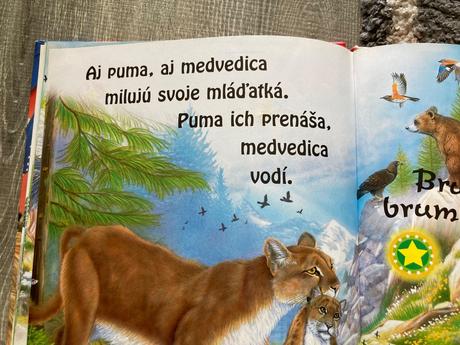 Reč zvieratiek v džungli, 