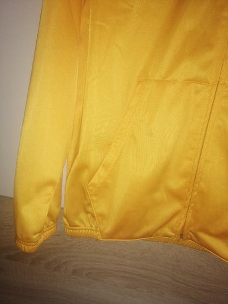 Mikina 13-14r, champion,158 / 164