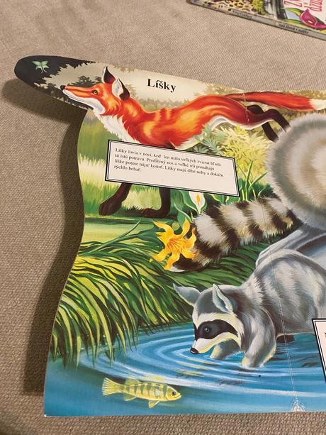 Leporelo nočné zvieratá v malíčku judy nayer,