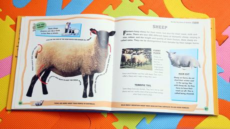 My big book of animals - d1, 