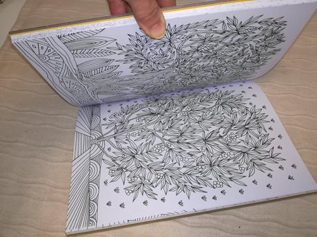 Colour yourself to inner peace nsu18, 