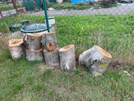 Čerešňové a orechové drevo,