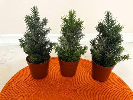 Sada stromčekov- 3 ks, 