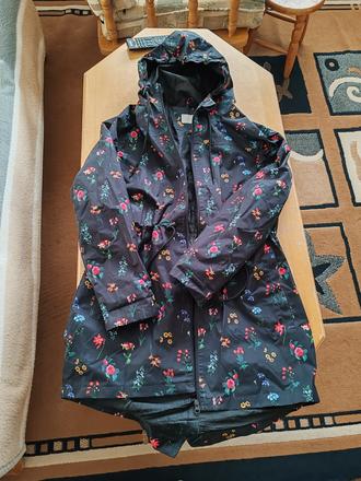 Jarna bundicka, gate,42