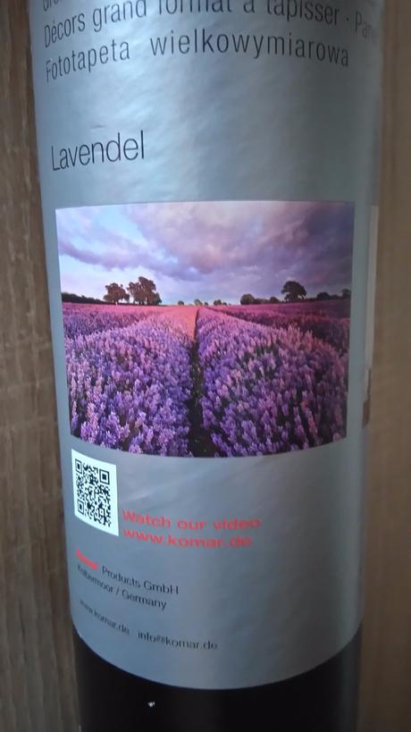 Nová fototapeta - levandulové pole, 