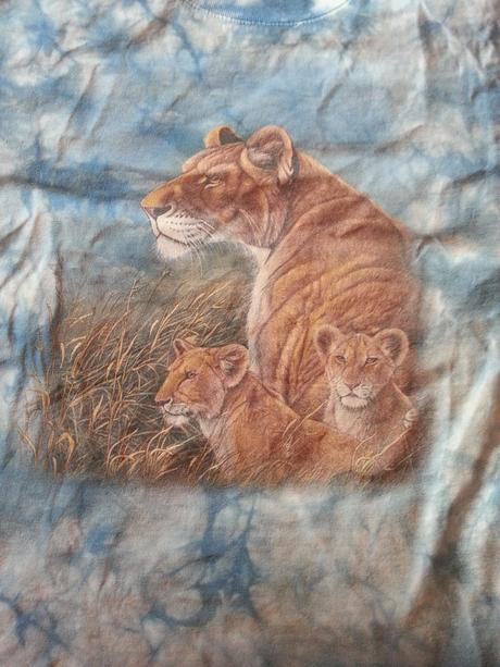 Komplet plavkové kraťasy nike+tričko, nike,122