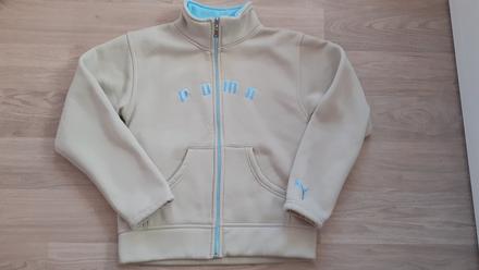 Mikina, puma,l