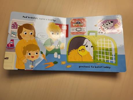 Čo sa deje u veterinára,