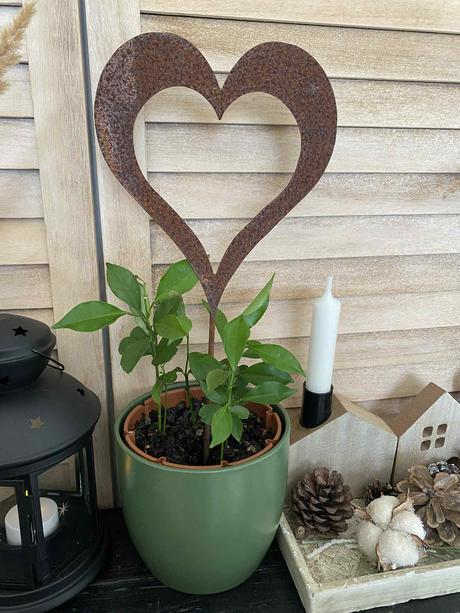 Hrdzavý zápich - srdce, 