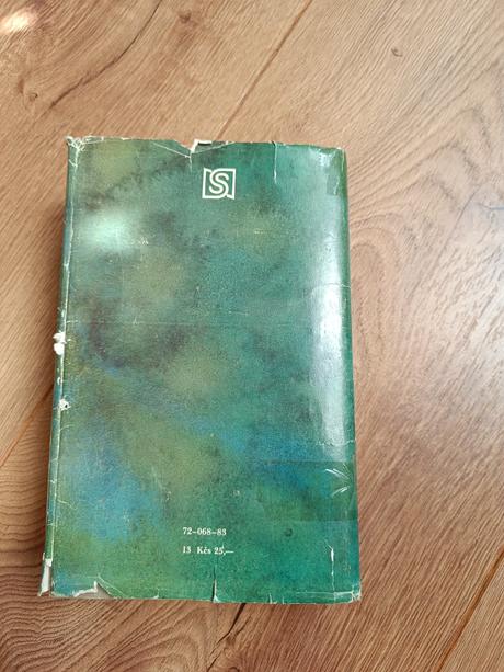 V zajati na holicskom hrade, 