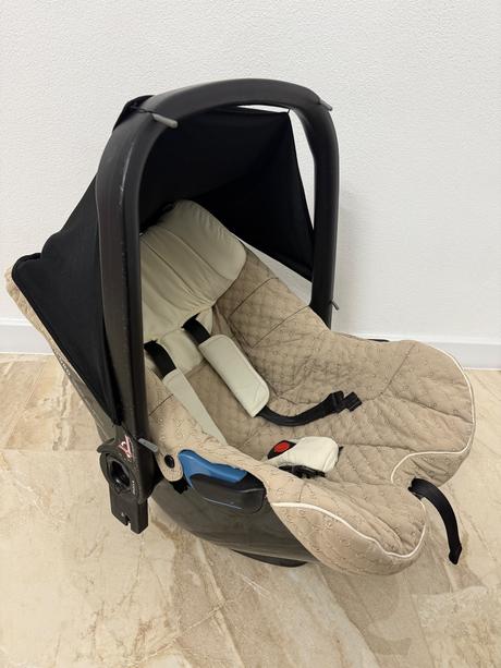 Vajíčko concord, concord