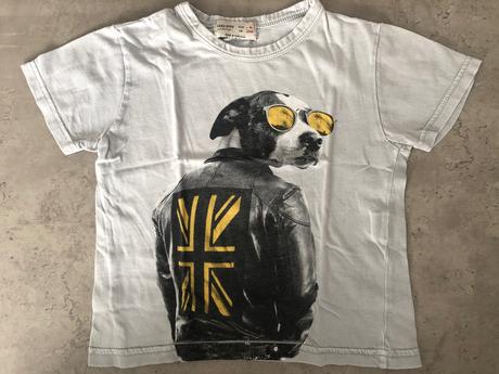 Tričko pes, zara,104