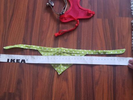 Vecičky pre psíka,