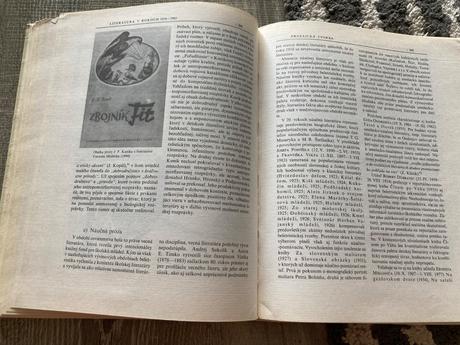 Dejiny slovenskej literatúry pre deti a mládež, 