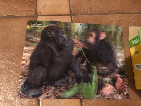 3d puzzle,
