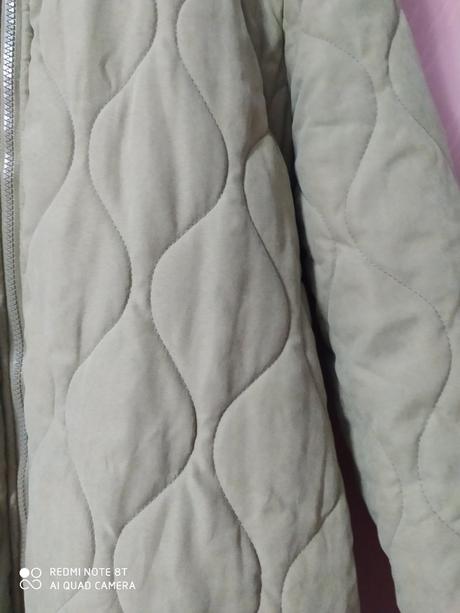 Olivozelena dlhá vetrovka, 