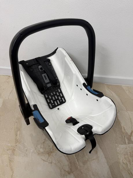 Vajíčko concord, concord