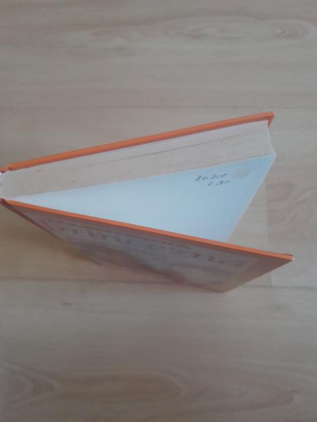 Meg cabotová-valentínska princezná, perfektná prin,