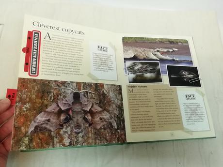 Explorer guide amazing animals au20, 