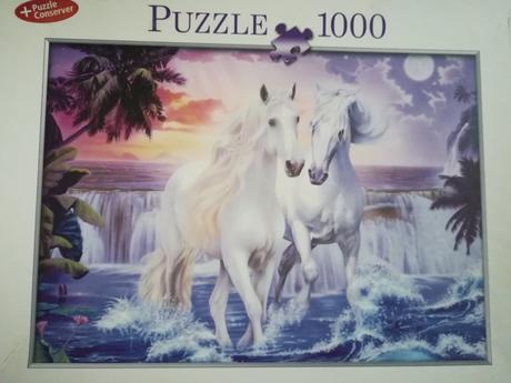 Puzzle 1000, 
