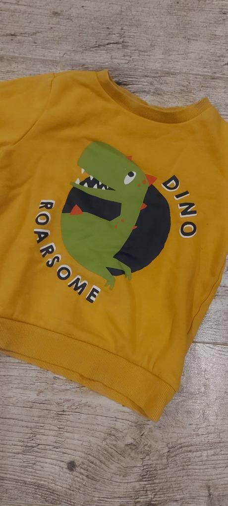 Mikinka s dinom, f&f,116