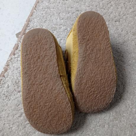 Pegres celoročky, pegres,26