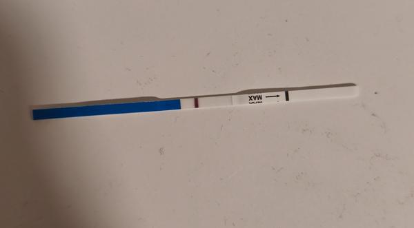 Vidíte niečo na mojom teste?